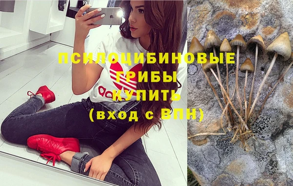 ГАЛЛЮЦИНОГЕННЫЕ ГРИБЫ Балабаново