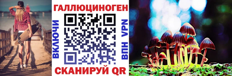 Псилоцибиновые грибы Cubensis Ладушкин